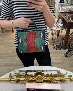 Python Snakeskin Tote Bag