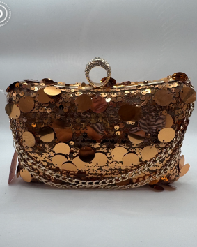 Gold Coin Embellished Bag