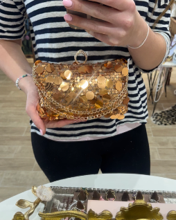Gold Coin Embellished Bag